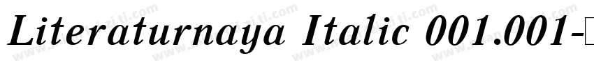 Literaturnaya Italic 001.001字体转换
